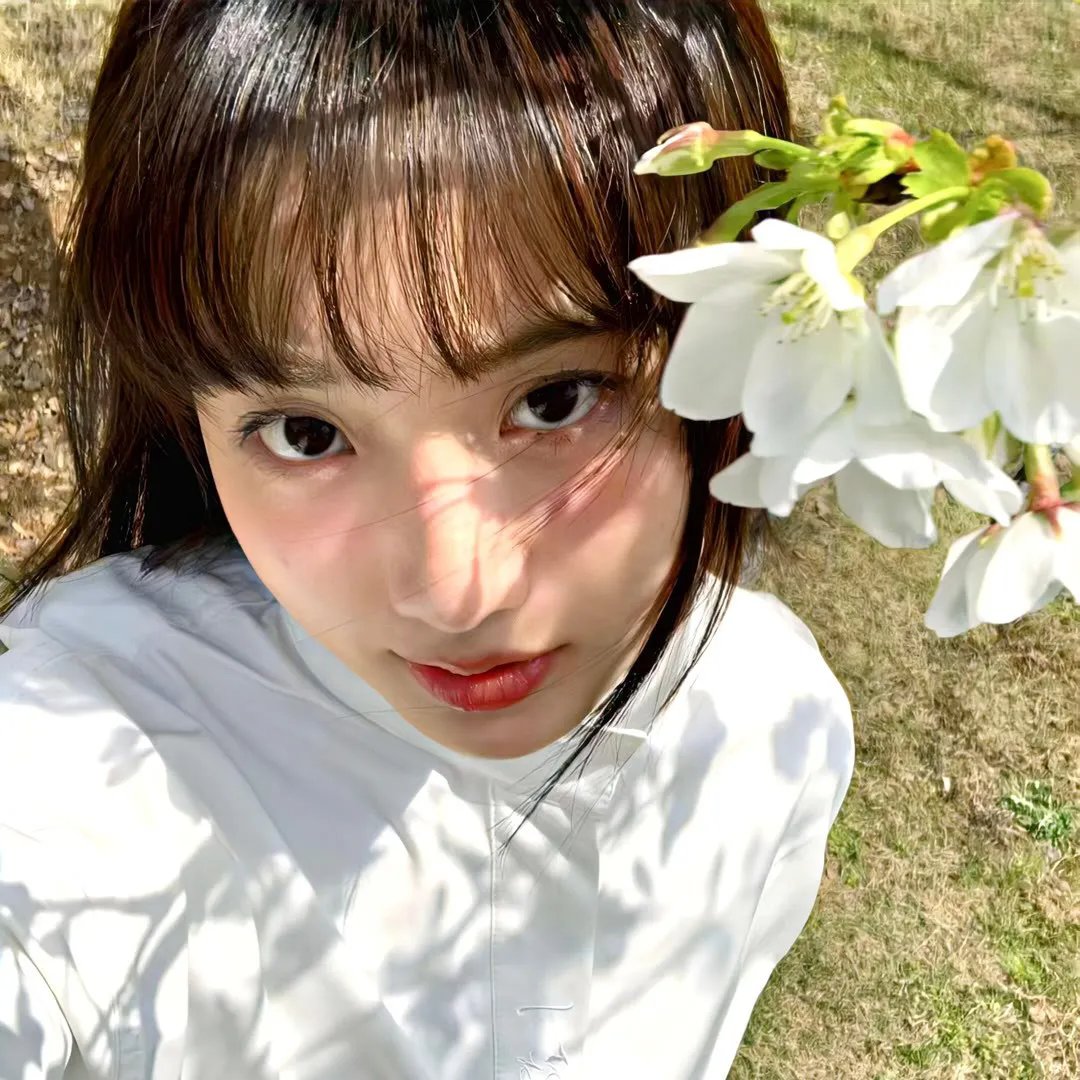 明珠游龙